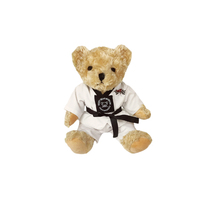 Ours en peluche personnalisé Taekwondo & Karaté, cadeau pour événement d'arts martiaux avec logo personnalisé