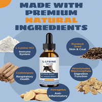 Compléments alimentaires pour animaux de compagnie L-Lysine naturel pour chats avec colostrum, taurine, vitamines, minéraux, L-Lysine pour chats, complément pour soutenir le système immunitaire