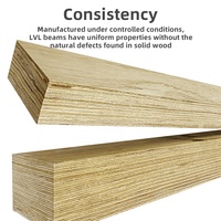 Fábrica al por mayor JZL Fabricación de China Núcleo de puerta LVL estructural ignífugo Madera de pino Madera
