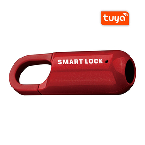 กุญแจล็อคแบบสแกนลายนิ้วมือ Tuya ผลิตกุญแจแบบต่างๆ ของแท้ ผู้จัดจำหน่ายอุปกรณ์อัจฉริยะสำหรับภายนอกอาคาร  กุญแจแบบไม่ใช้กุญแจ ทำจากอลูมิเนียมอัลลอยด์ ควบคุมผ่านแอป - Product Image 2