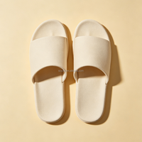 Sandalias Usadas de Alta Calidad para Mujer y Hombre, Pantuflas de Verano al por Mayor, Colores Variados, Tallas Variadas, Varios Estilos, Segunda Mano