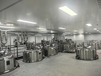 Équipement de mélange industriel à faible bruit 500L en SUS316L avec nettoyage CIP pour la production de savon liquide et de détergent vaisselle