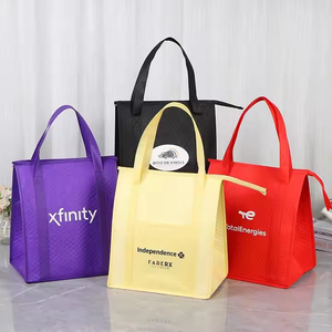 Sac isotherme portable en non-tissé avec fermeture éclair pour bière, sac de transport pour le déjeuner, sac de pique-nique, sac de courses pour aliments - Product Image 1