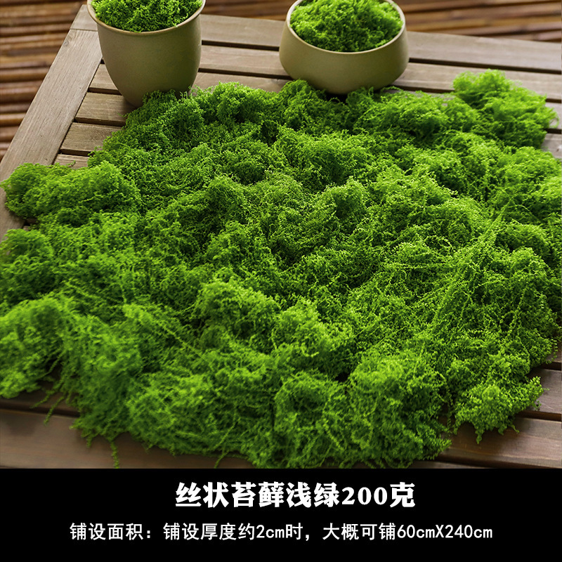 [Mejorado] Musgo filamentoso verde claro 200g