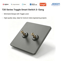 Interrupteur intelligent à double voie Tuya Zigbee T20, large plage de tension 110V-250V, en PC ignifuge, pour contrôle d'éclairage domestique