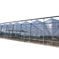 Serres agricoles multi-spans en verre de type Venlo à prix de gros pour la culture de tomates