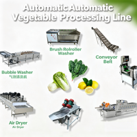 Automatische groentewasinstallatie met vortextechnologie, industriële oplossing voor het reinigen van fruit en groenten, te koop.
