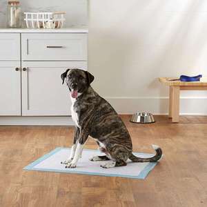 Almohadillas de Pulpa Desechables de Alta Calidad, Impermeables y Ecológicas de PET para Entrenamiento de Mascotas Pequeñas, Bajo Precio, 2026 - Product Image 3