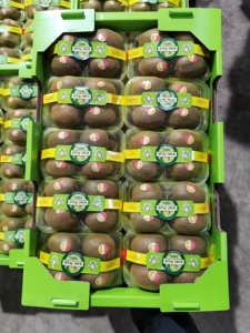 Commercio all'ingrosso della fabbrica di <span class=keywords><strong>Kiwi</strong></span> freschi Premium cinesi per l'esportazione popolare - Product Image 3