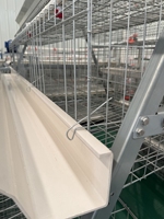 Cage à poules pondeuses automatique durable en acier galvanisé pour équipement d'élevage avicole, prix usine, cage en batterie