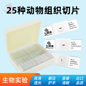 Biological specimen slides, 25 new animal combination kits, clear tissue <b>microscope</b> accessories, biological slides, specimens - Product Image 5