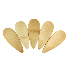 Cuchara <span class=keywords><strong>de</strong></span> café <span class=keywords><strong>de</strong></span> madera ecológica para el hogar, cuchara <span class=keywords><strong>de</strong></span> té <span class=keywords><strong>de</strong></span> <span class=keywords><strong>bambú</strong></span> <span class=keywords><strong>de</strong></span> mango corto, venta al por mayor - Product Image 4