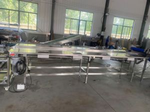 Máy phân loại kích thước tự động tốc độ cao để tăng cường hiệu quả phân loại trái cây rau quả đồ ăn nhẹ bao gồm táo xoài, vv. - Product Image 2