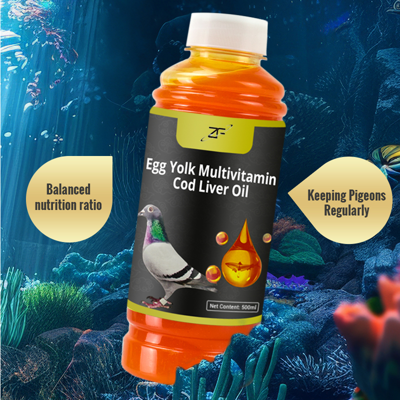 How to Choose the Best Energy Boost Supplements for Pigeon Racing