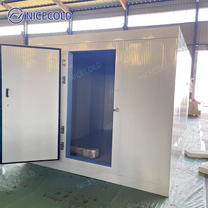 Phòng lạnh bảo quản thực phẩm đặt làm riêng, tủ đông đi bộ dành cho cửa hàng tạp hóa, nhà máy chế biến thịt và kho chứa nông sản tươi sống - Product Image 4