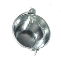 Petit seau en métal galvanisé, Pot de fleurs, Pot pour plantes, seau de fleurs argenté, style petit
