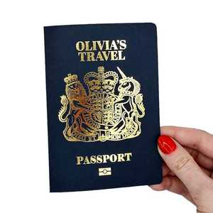 Обложка для паспорта из картона с дизайном глобуса, индивидуальная печать, пустой паспорт, блокнот для паспорта, синий, услуга печати паспортов - Product Image 5