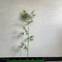 Plante artificielle en plastique résistante à l'eau, écran végétal écologique en bambou, feuilles longues de 150-300 cm, pour extérieur