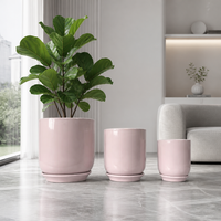 Pots à fleurs en céramique émaillée rose blush nordique haut de gamme avec soucoupe, pot de fleurs cylindrique minimaliste brillant pour intérieur
