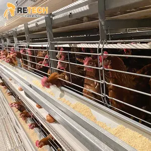 Retech Farming Großes Geflügel Bauernhaus Bau Automatische Hühner schicht Batterie käfig Automat isierte Ausrüstung