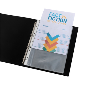 Nhà Máy Bán Lưu Trữ Kính An Toàn Rõ Ràng A4 Đấm Túi Để Nộp Hồ Sơ Và Bảo Vệ - Product Image 1