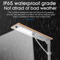 Lámpara Solar LED de 30W 60W 80W 100W con Cuerpo de ABS, Fuente de Luz LED, IP66, para Iluminación Vial Exterior, Mejor Calificada