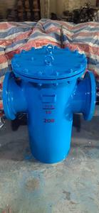 2025 Wesdom Ductile Iron ASTM Gusseisen Gerade Pipeline Filter Flansch korb T Typ Sieb - Product Image 3