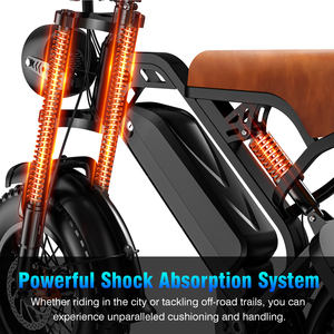 Vélo Électrique Vintage au Design Rétro, VTT au Lithium 500-1200W Haute Vitesse, Commande en Gros, Solutions OEM/ODM, Vente en Gros Personnalisée - Product Image 5