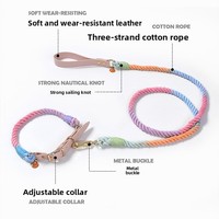 Luxe classique élégant Simple solide motif collier de chien laisse ensemble personnalisé écologique coton corde tressé Paracord cuir