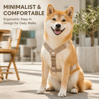 Fournisseur de marques privées : Ensemble de harnais ergonomique et réglable en nylon solide pour chiens et chats, avec logo personnalisé, rembourré et anti-traction