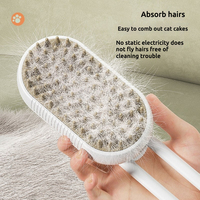 Brosse à vapeur pour chat multifonction rechargeable anti-statique en gros d'usine