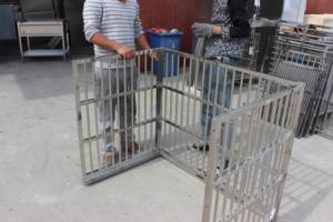 MT tıbbi veteriner yeni ekipman temperli cam büyük lüks evcil hayvan kafesi hayvan veteriner hastane kliniği paslanmaz çelik kulübesi kafes - Product Image 4