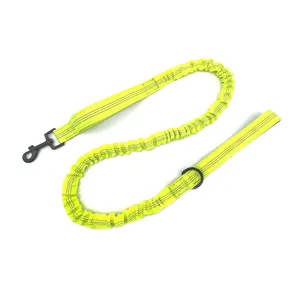 Reflecterende Hond Wandelen Leash Anti-Pull Bungee Schokabsorptie Trein Leash Met Dubbele Gewatteerde Handgrepen