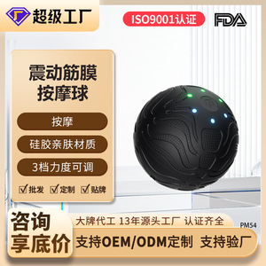 Custom Molded Vibrating Massage Ball Electric Fascia Ball Muscle Relaxation Massager Fitness Yoga Exercise Ball PM54 USB Powered - Product Image 2