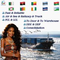 Transit maritime économique Chine, agent de fret DDP international porte-à-porte, consolidation de marchandises Australie, taux d'assurance réduit