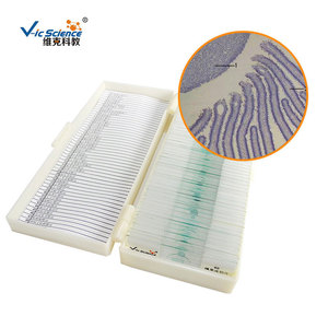 Venta directa de fábrica de rebanadas de hongos, rebanadas de plantas y hongos, rebanadas de animales y plantas, preparados microscópicos para primaria y secundaria. - Product Image 2