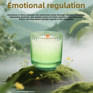 High-end Soy Wax Aromatherapy <strong>Candles</strong> <strong>Citrus</strong> Verbena Scent Romantic Home Fragrances Fresh Air Gift - Product Image 3