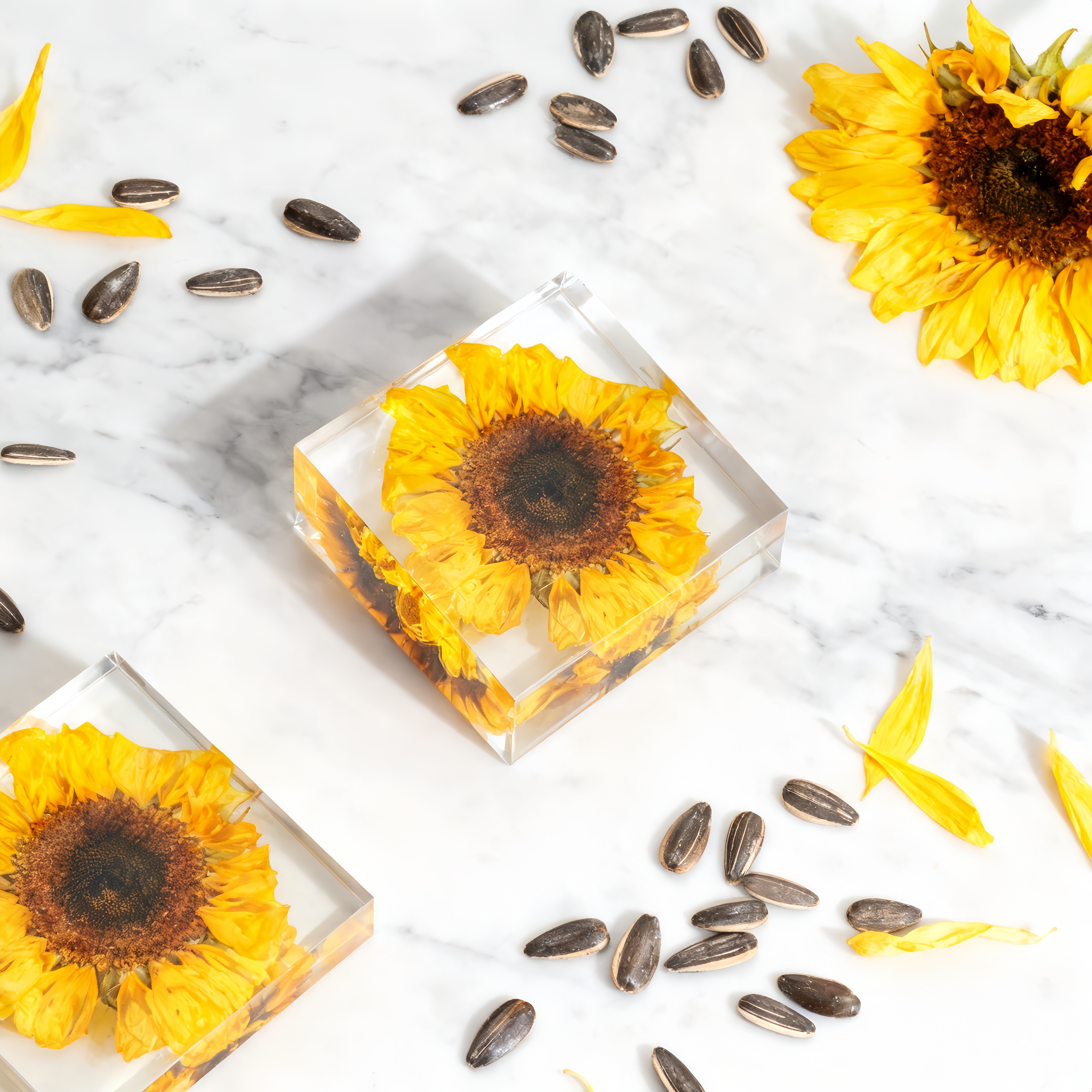 Muestras gratis contactar con atención al cliente