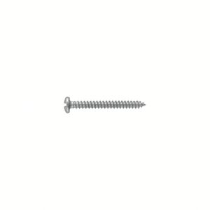 Tornillo Autorroscante de Cabeza Redonda de Acero al Carbono Galvanizado Modificado - Product Image 1