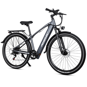 Bicicleta Eléctrica PASELEC Precio de Fábrica, 29 Pulgadas, Motor Trasero de 500W, Batería de Litio de 48V 16Ah - Product Image 2