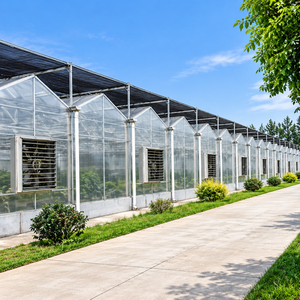 Serre de pépinière Skyplant en polycarbonate de grande taille, structure multi-voûtes, ventilation, refroidissement, ombrage, irrigation, production de semis - Product Image 1