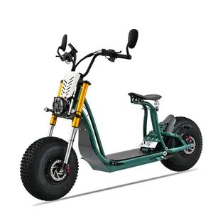 2024 Custom Electric Scooters 3000W Steel Frame For Men And Women Citycoco Removable Battery Electric for Adults