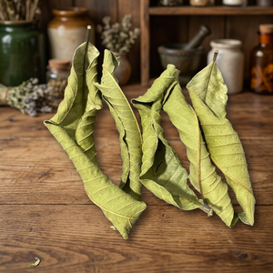 Feuilles de goyavier entières séchées style égyptien (Marque HERBS GROUP) - Agriculture pour traitements à froid, ingrédients pour décoctions, boissons 24 - Product Image 3