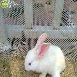 <span class=keywords><strong>Filet</strong></span> à volaille à <span class=keywords><strong>prix</strong></span> réduit pour poulet volaille - Product Image 6