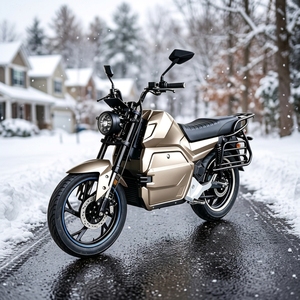 มอเตอร์ไซค์แบบ Zero Emission ที่เป็นมิตรต่อสิ่งแวดล้อม เบาะนั่งสบาย ความเร็วสูง สำหรับผู้ใหญ่ ผู้ผลิตมอเตอร์ไซค์ไฟฟ้า จัดจำหน่ายมอเตอร์ไซค์แบบ Scrambling - Product Image 1