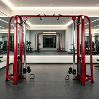 Máquina de Poleas Comercial BL2003 Big Bird Trainer, Equipo de Gimnasio para Entrenamiento de Fuerza Funcional para Clubes de Fitness