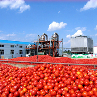 Machine de haute qualité pour faire éplucher les tomates, concentré, pâte, sauce, purée, ligne de production complète