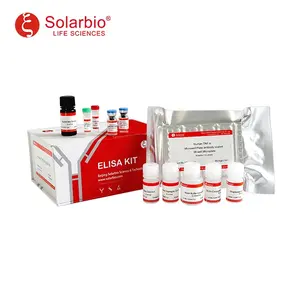 Solarbio Interleukin umano di alta qualità 23 IL-23 Elisa Kit