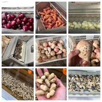 Automatische Wortelgroenten Was- en Schilmachine Gember Aardappel Wortel Groente Fruitwasser en Schilmachine 110/220 V