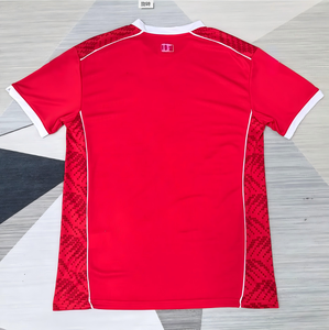 Camiseta de Fútbol AFCON 2026 Roja y Blanca, Diseño Águila de Cartagena, Impresión Personalizada, Uniforme Transpirable Dri-Fit al por Mayor - Product Image 1